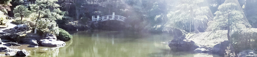 �_�l���x���̃G�l���M�[�̂�����뉀�I�y  �����^�O�x���� �z